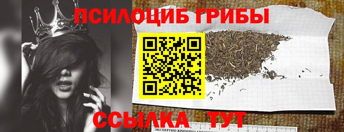Галлюциногенные грибы Psilocybe  Галлюциногенные грибы мухоморы  Лосино-Петровский  Вход с VPN 